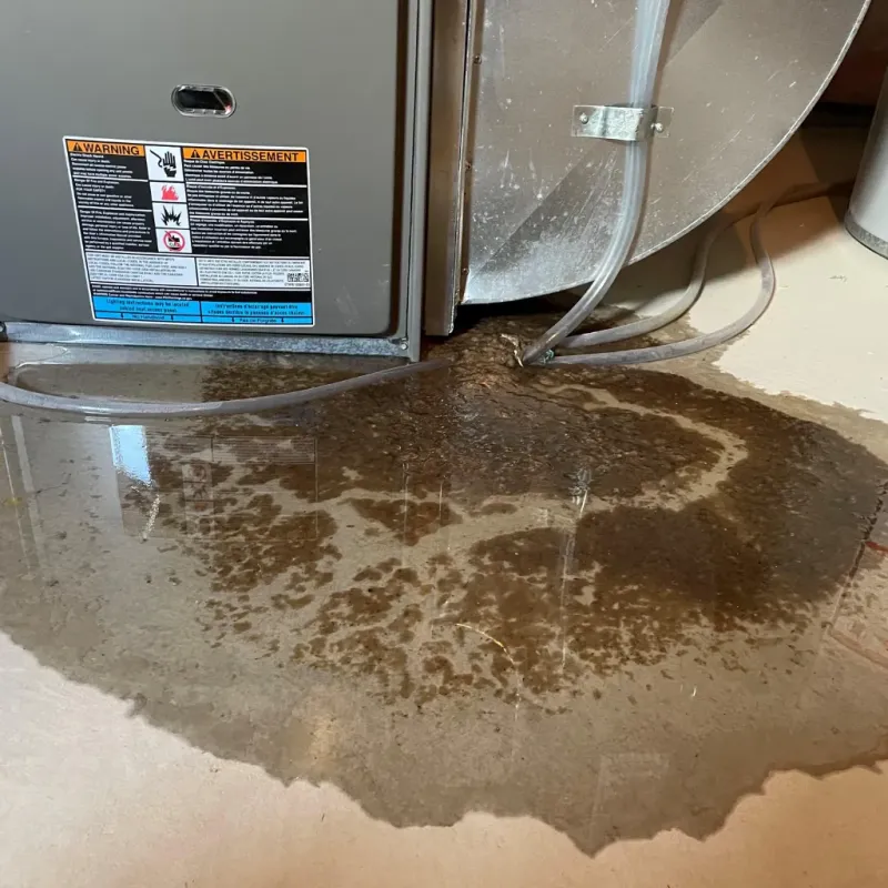 Appliance Leak Cleanup in Franklinville, NC